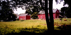homesteadfarm